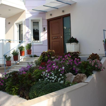 Veggie Garden Athens B&B Zewnętrze zdjęcie