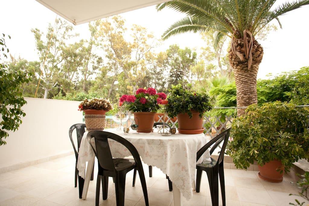 Veggie Garden Athens B&B Zewnętrze zdjęcie