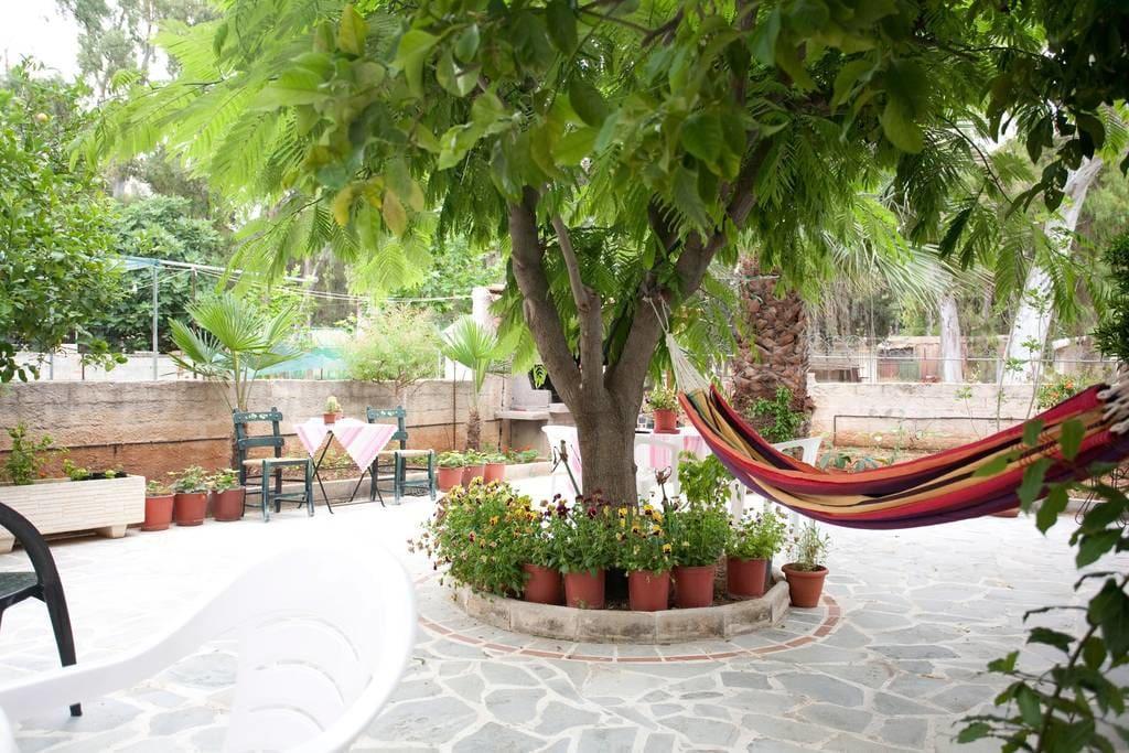 Veggie Garden Athens B&B Zewnętrze zdjęcie