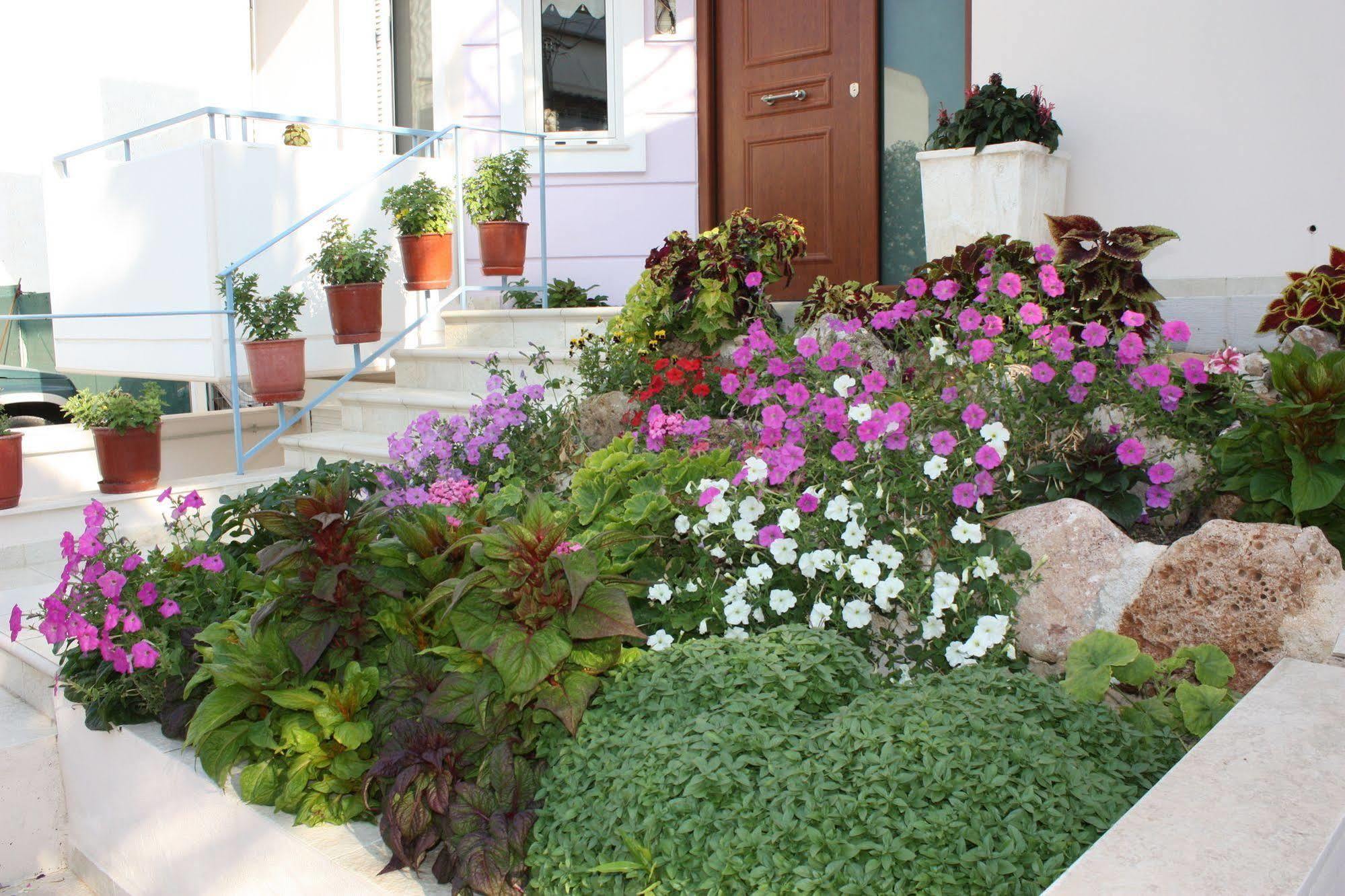 Veggie Garden Athens B&B Zewnętrze zdjęcie