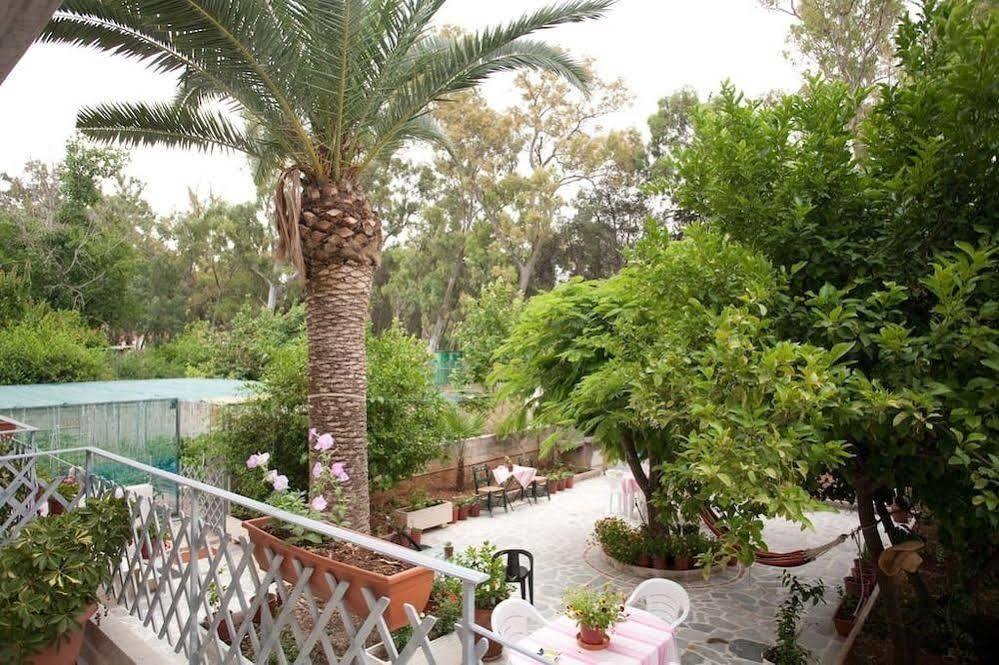 Veggie Garden Athens B&B Zewnętrze zdjęcie
